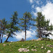 Sylvia Alm Photo 13