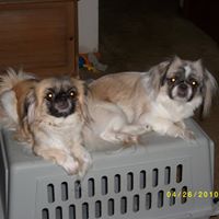 Barbara Beck Photo 9