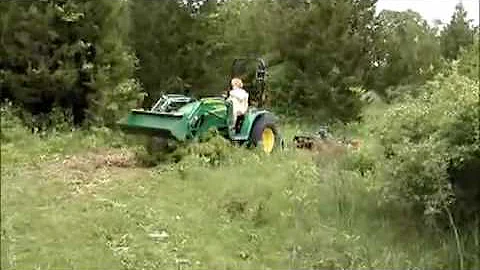 Irene Bush Photo 20