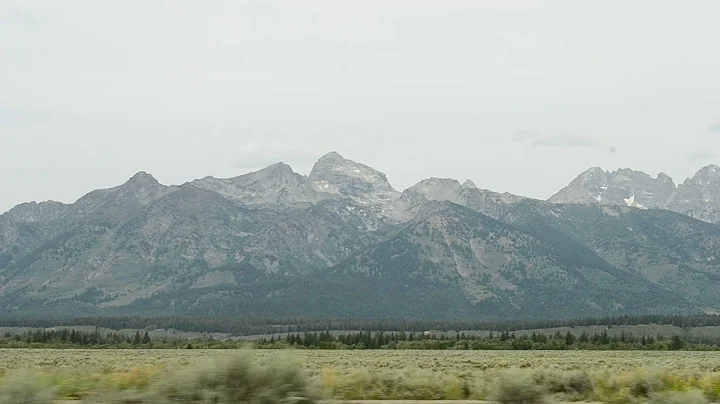 David Stilley Photo 17