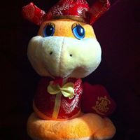 Lin Long Photo 8