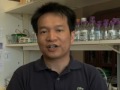 Zhu Zhang Photo 28