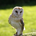 Kent Hoots Photo 8