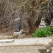 Joseph Hayward Photo 31