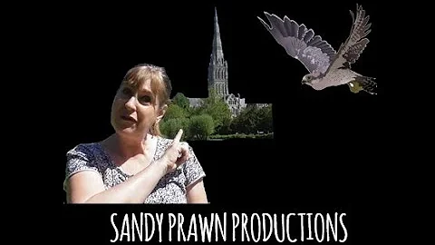 Dawn Salisbury Photo 19