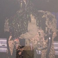 Thomas Forsyth Photo 10