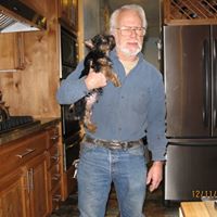 Steve Gross Photo 10