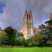 Paul Frohman Photo 14
