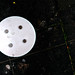 Gary Marchman Photo 17