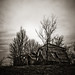 Matthew Heald Photo 28
