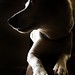 Jane Black Photo 41