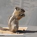 Bruce Burkhardt Photo 19