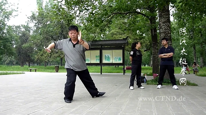 Lijing Chen Photo 11