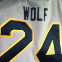 Mason Wolf Photo 5