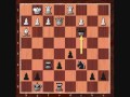 Marshall Chess Photo 6