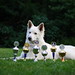 Dawn Berger Photo 34