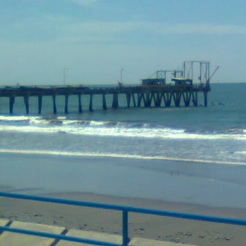 Cindy Argueta Photo 10
