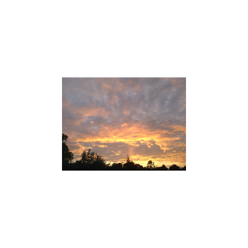 David Symons Photo 11