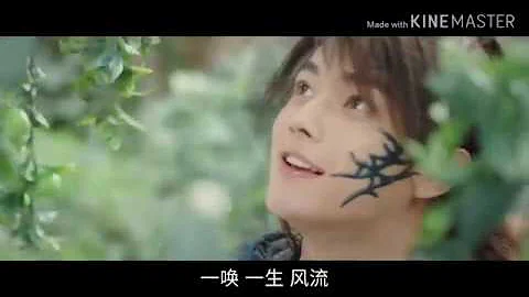 Yao Zhao Photo 23