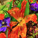 Sammie Flowers Photo 20