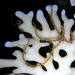 John Spinosa Photo 31