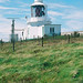Ann Head Photo 32