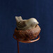 Ruth Bird Photo 32