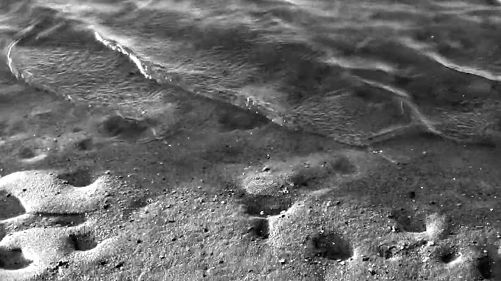 Charles Murrell Photo 31