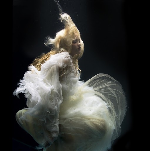 Anna Zheng Photo 16