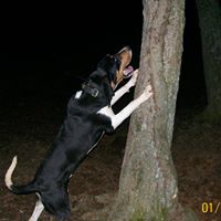 David Mash Photo 5