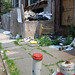 Robert Scarano Photo 12