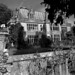 Alfred Black Photo 33