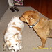 Wiley Murphy Photo 14
