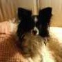 Julie Souder Photo 4