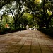 Georgia Lane Photo 39