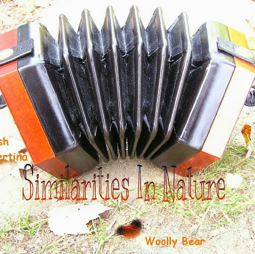 Wendy Stanford Photo 9