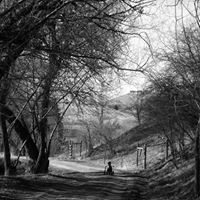 Cody Stanley Photo 9