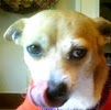 Chico Jones Photo 12