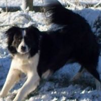 Sharon Schofield Photo 6