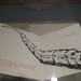 Scott Colson Photo 40