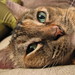 Brandy Lay Photo 25