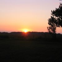 Diane Calder Photo 7