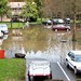 Eugene Flood Photo 19