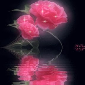 Mohamad Jaafar Photo 9