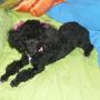 Maria Valles Photo 30