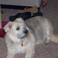 Amy Spengler Photo 3