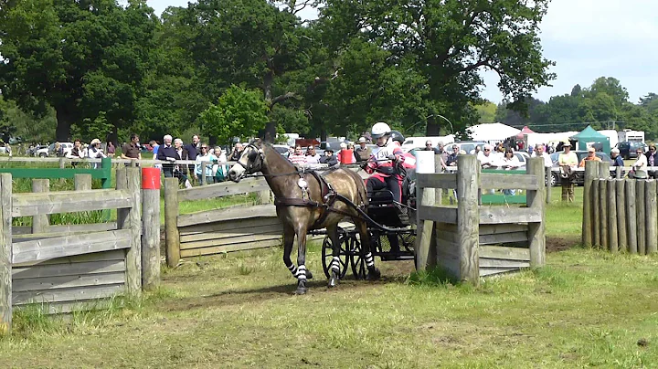 Sue Ralls Photo 7