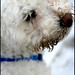 Peggy Darling Photo 26