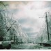 Laurie Winters Photo 32