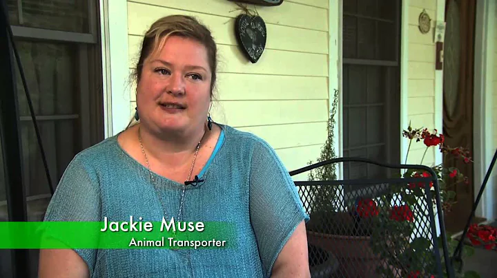 Lynn Mccoy Photo 29